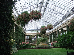 294 Longwood Gardens [2008 August 23]